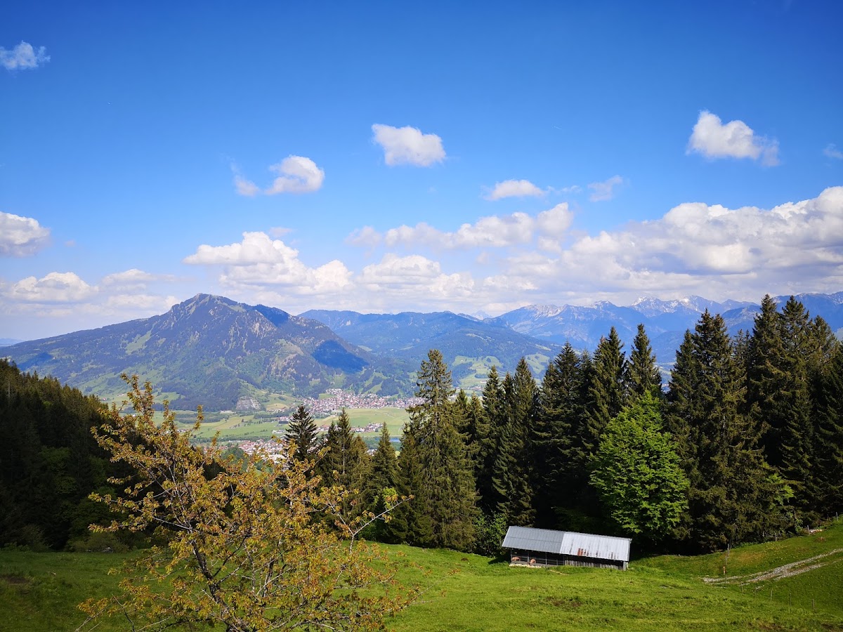 Alpe Oberberg Immenstadt-3