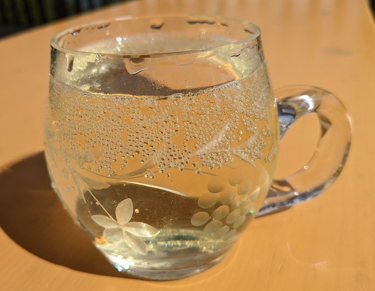 Alpe Oberberg Immenstadt-8